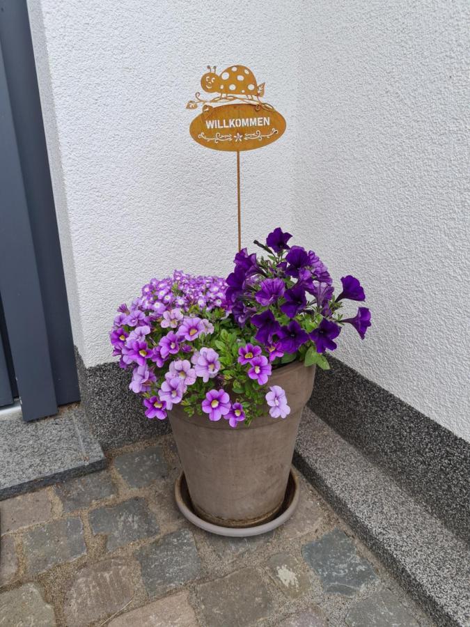 Ferienwohnung Hennemann Schmallenberg Kültér fotó